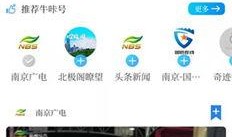 牛队爆料视频大全下载免费,免费下载，揭秘热门事件幕后真相